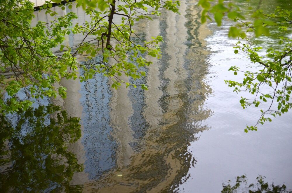 Photograph by Ольга Булавкина