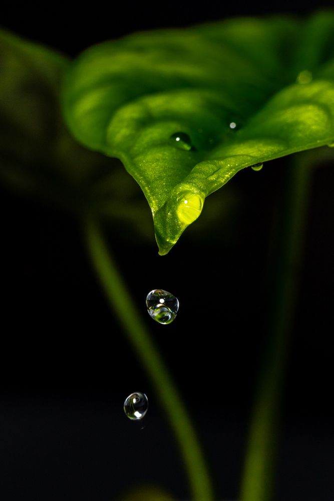 Photograph by Кемеров Игорь