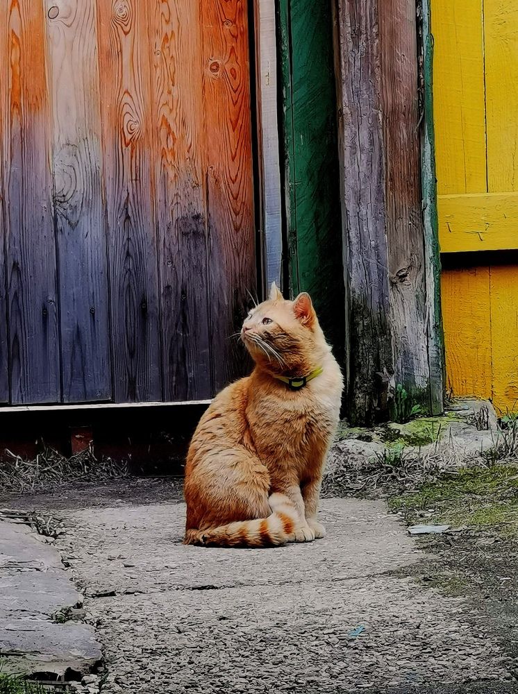 Photograph by Щавлев Руслан