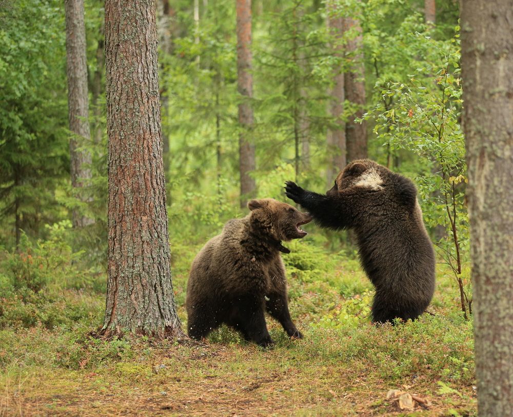 Photograph by Юрий Кетель