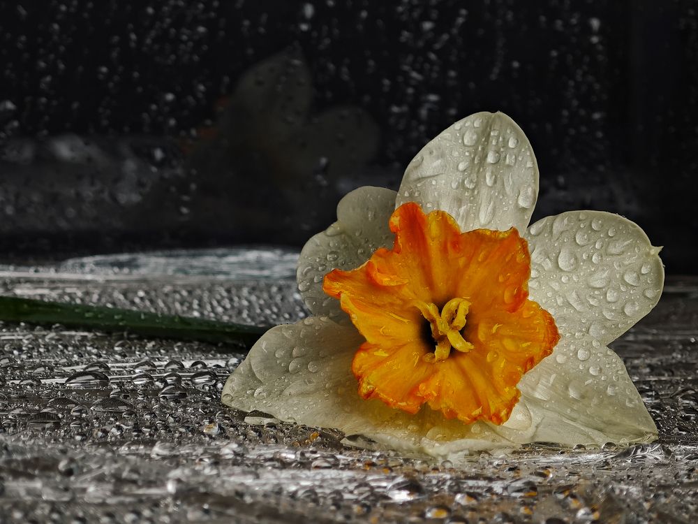Photograph by Екатерина Зязина