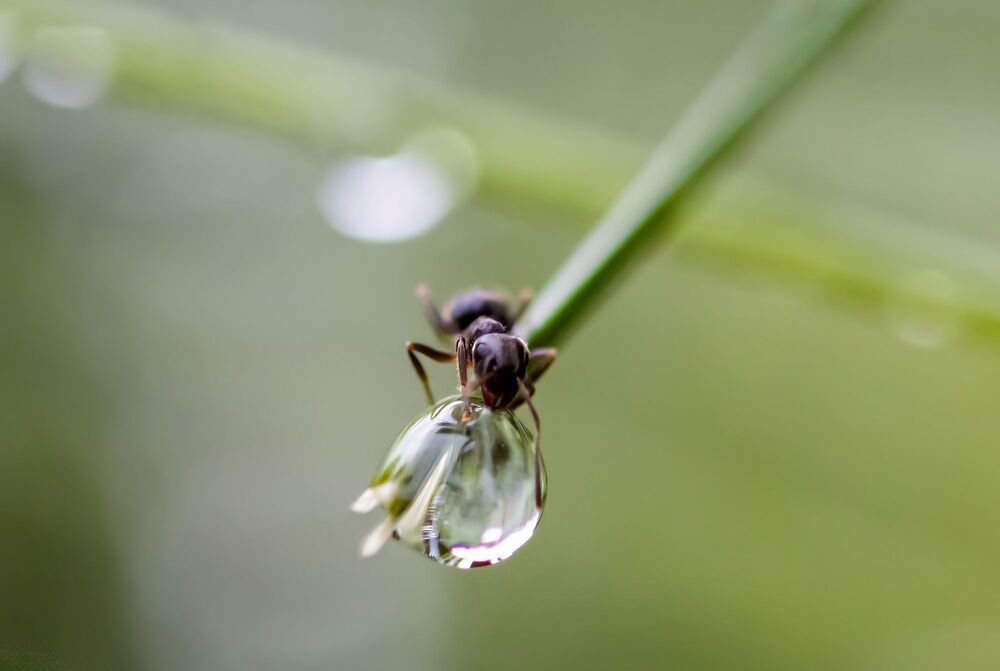 Photograph by Волынский Виктор