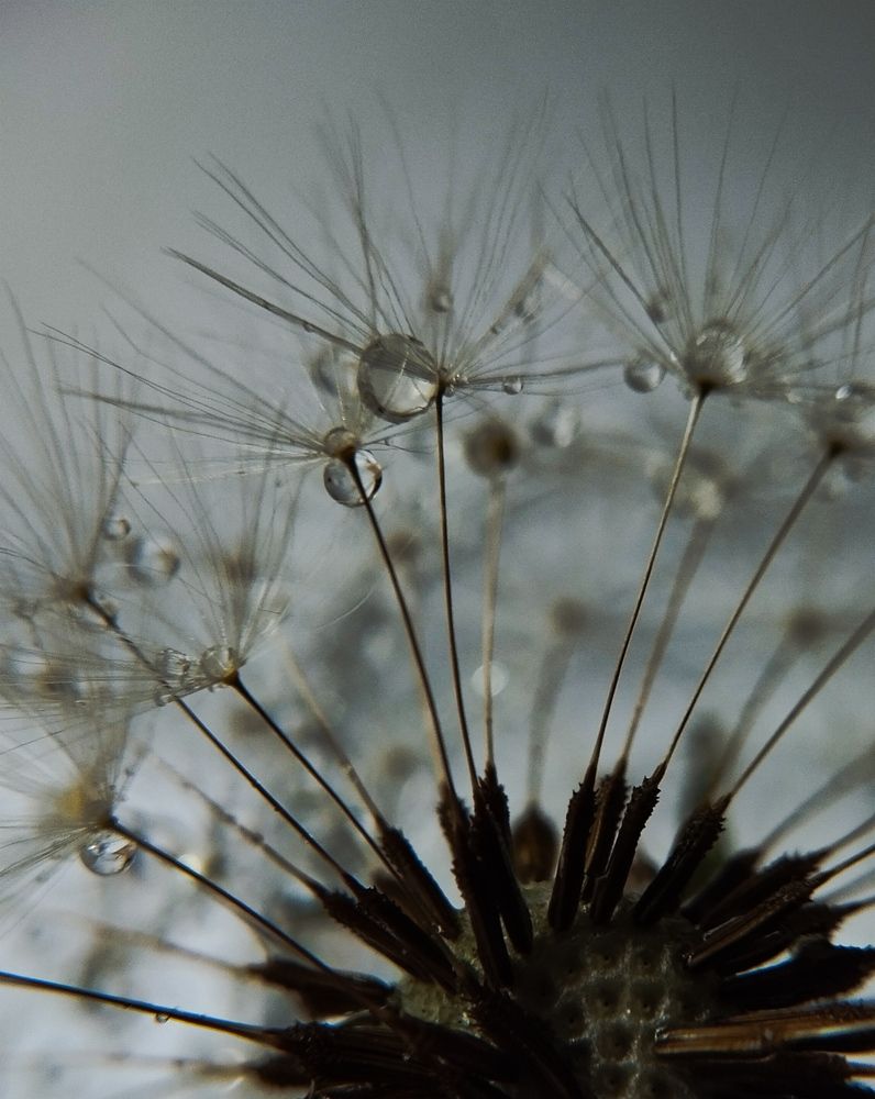 Photo #13580548