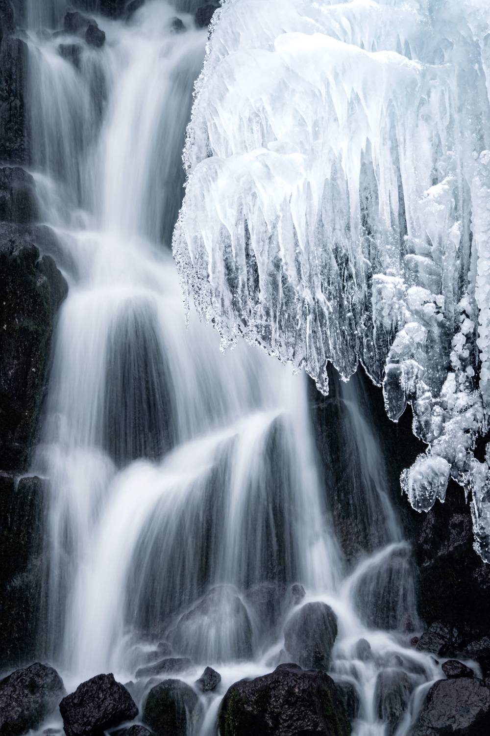 Frozen Motion