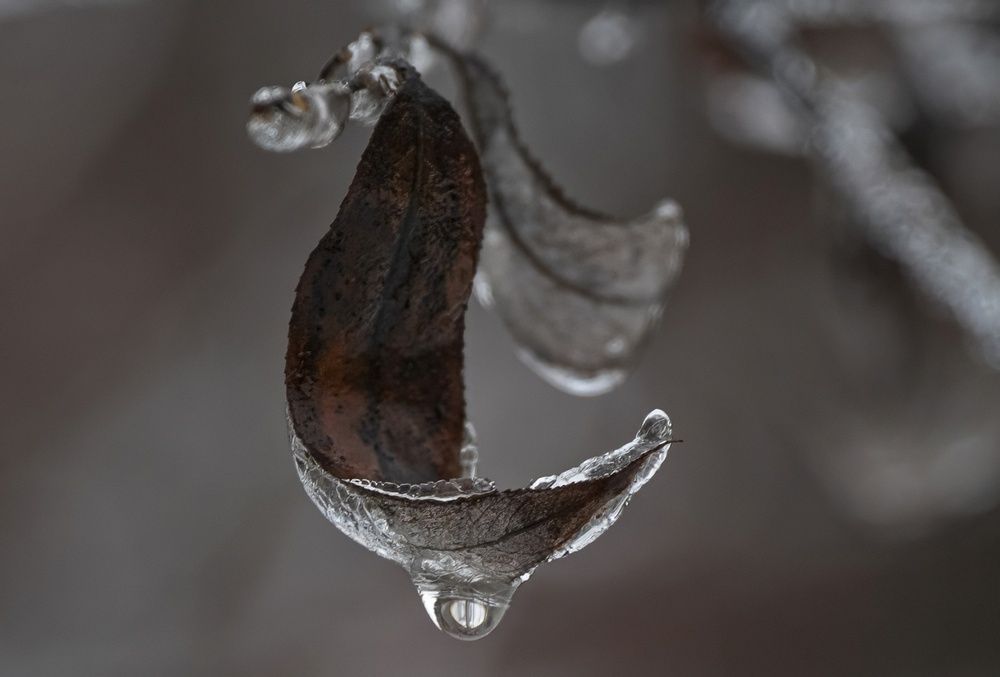 Photograph by Gurdina Lena