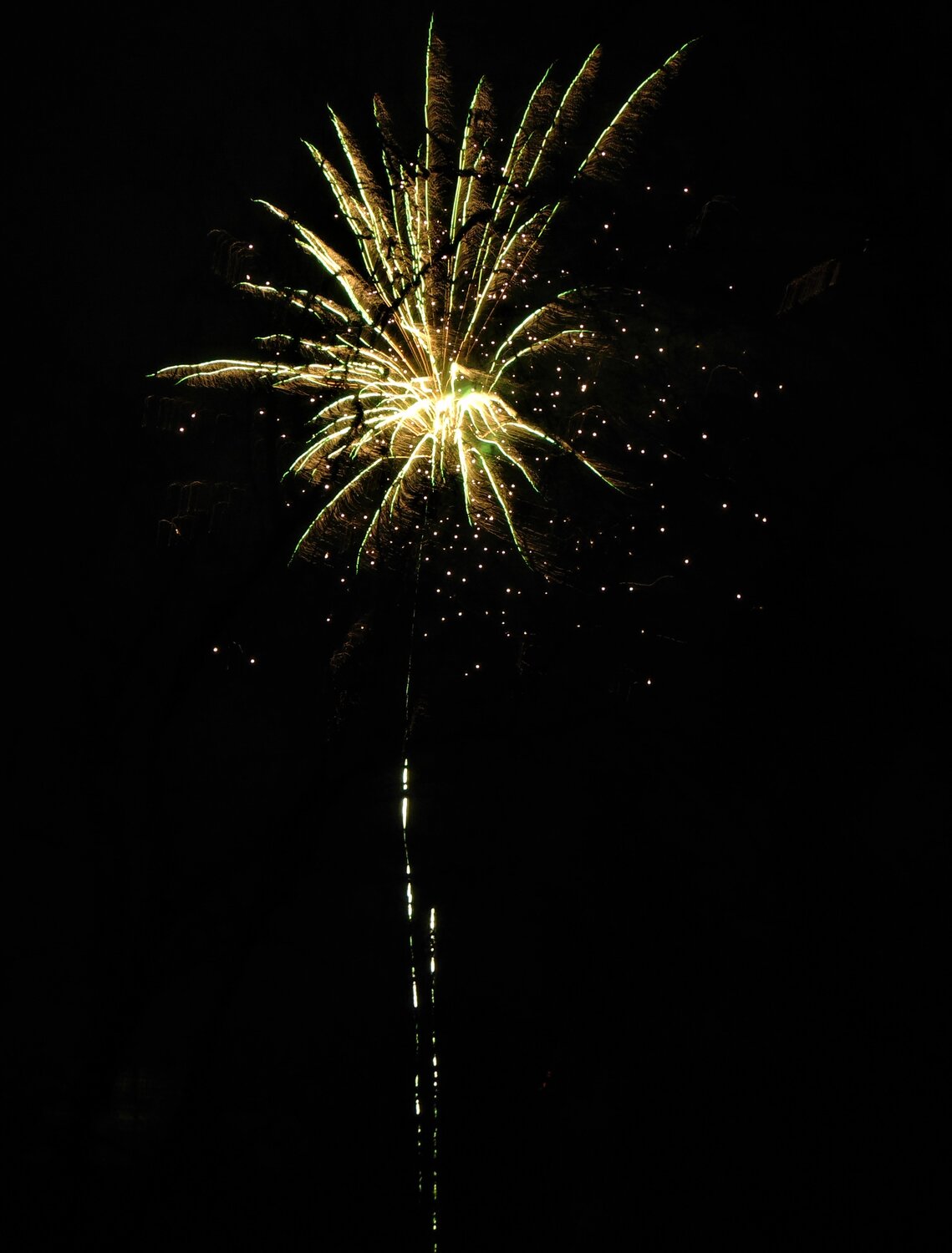 Photo #13581314