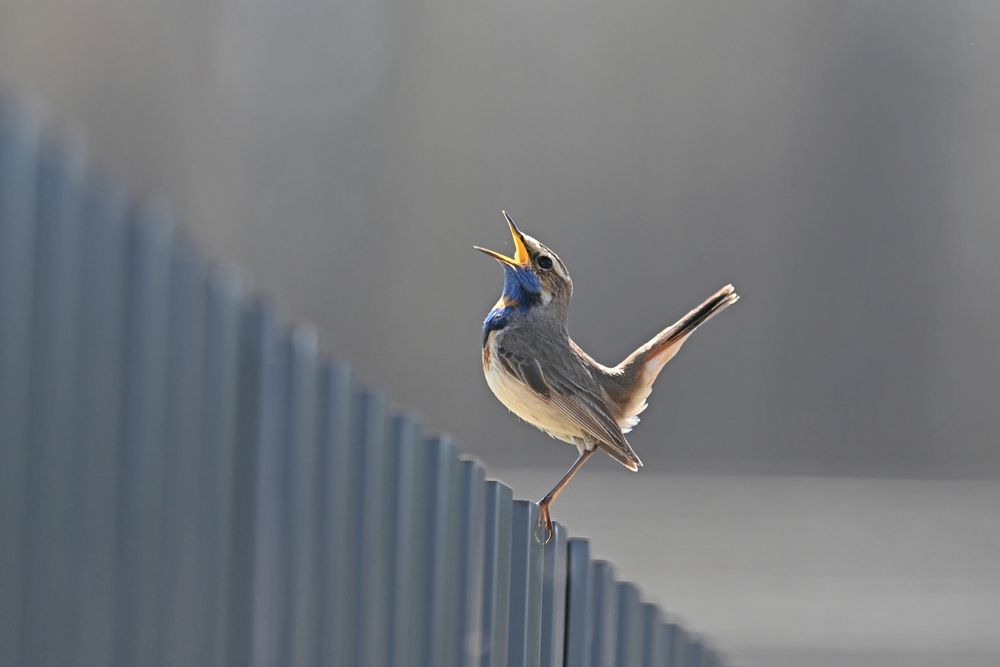 Photograph by Алексей Гордеев