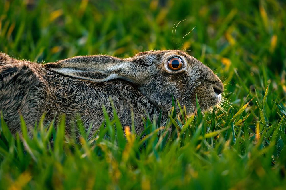 Photograph by Stanislav Volkov