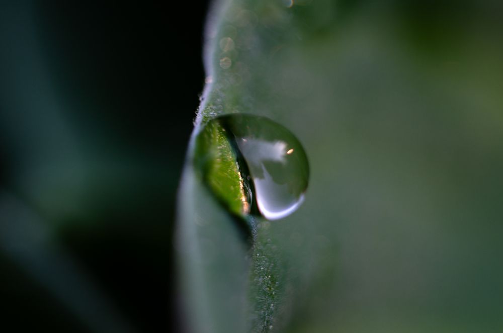 Photograph by Юлия Лебедева