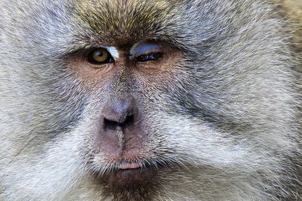 Photograph by Benoit Vanoverbeke