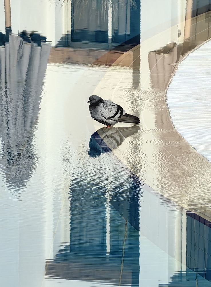 Photograph by Ольга Попова