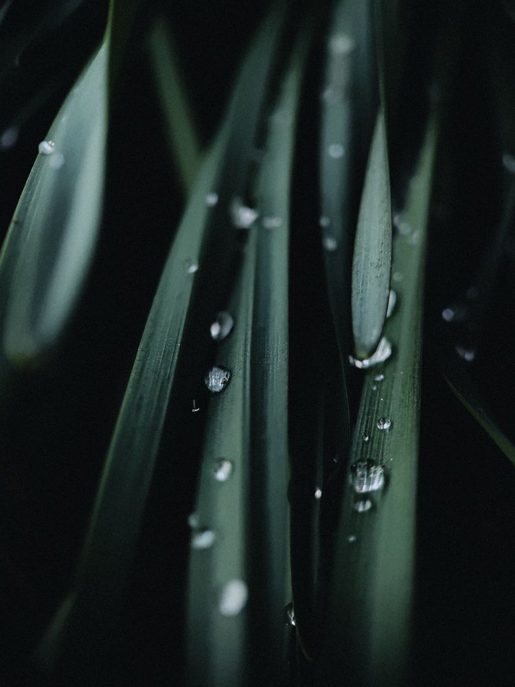 Photograph by Алиса Исаева