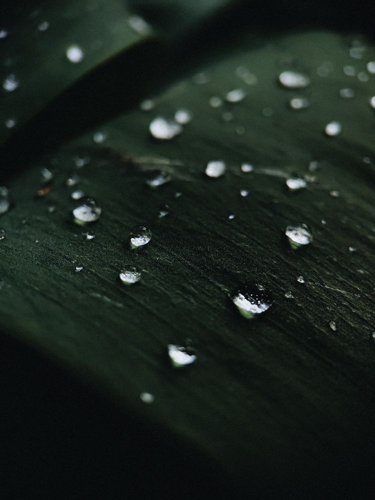 Photograph by Алиса Исаева