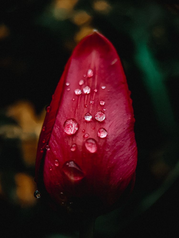 Photograph by Алиса Исаева