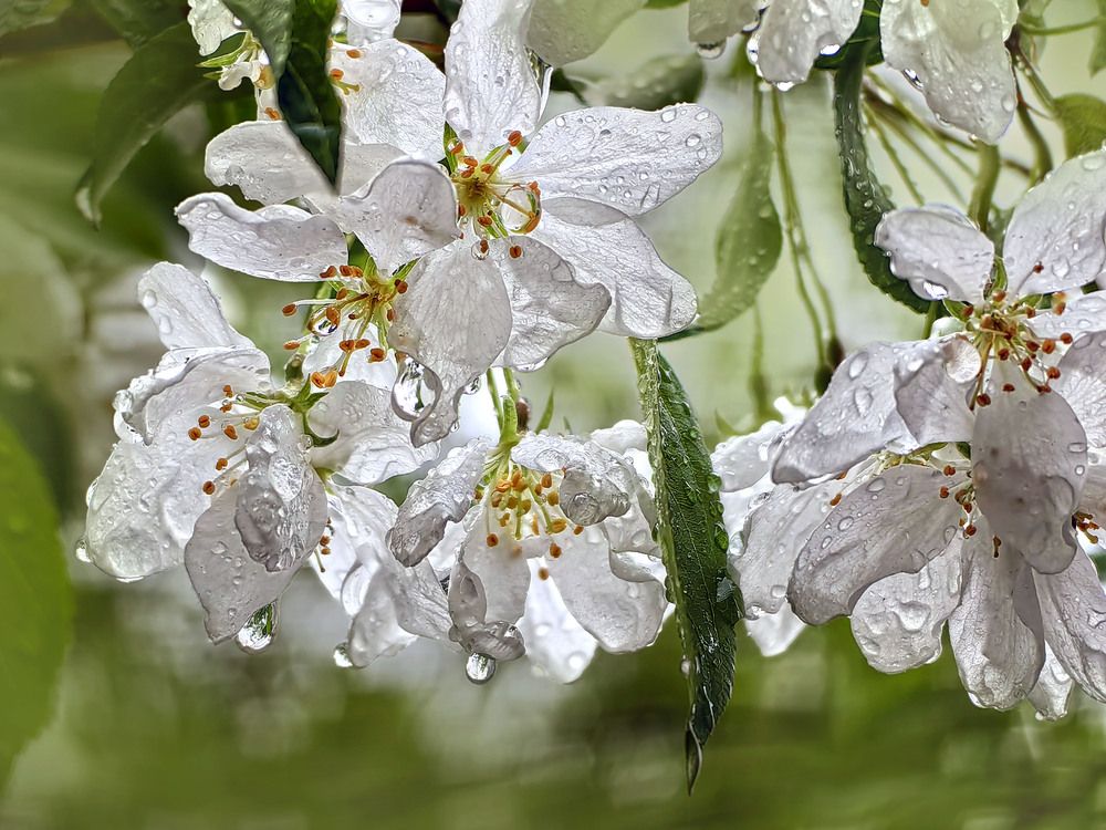 Photograph by Татьяна Мишустина