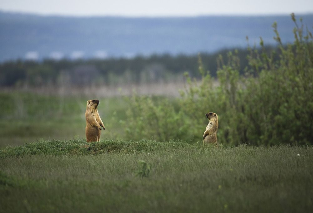 Photograph by Елена Неведицына