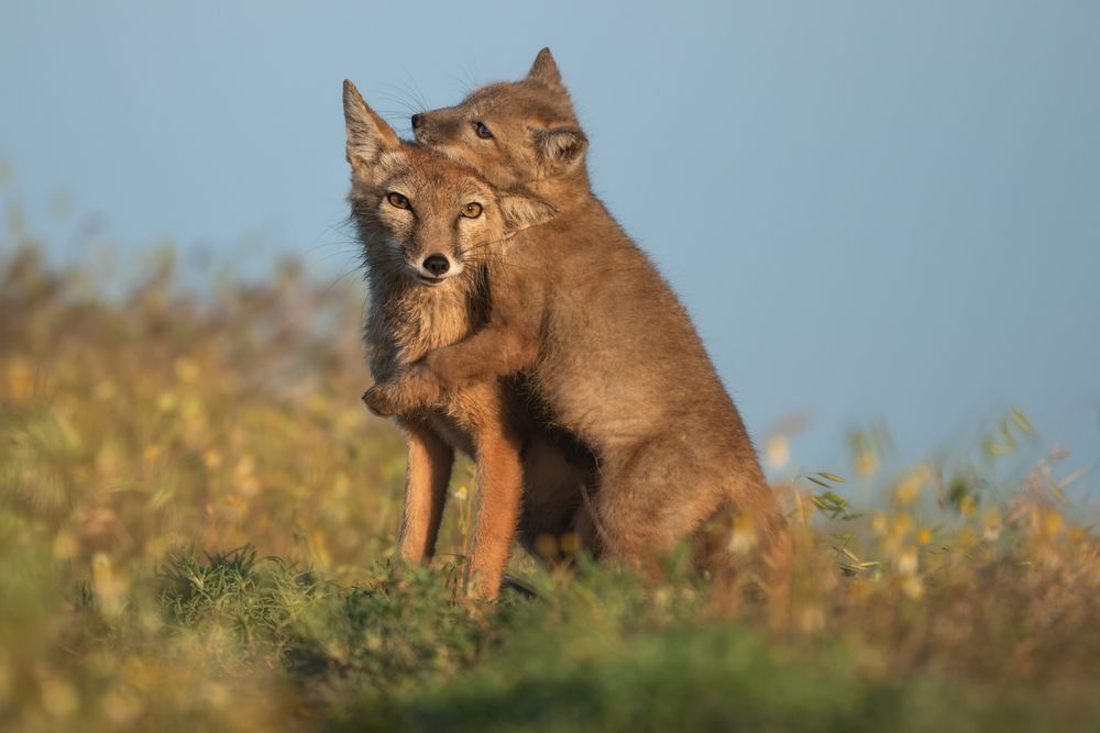 Photograph by Рудченко Ольга