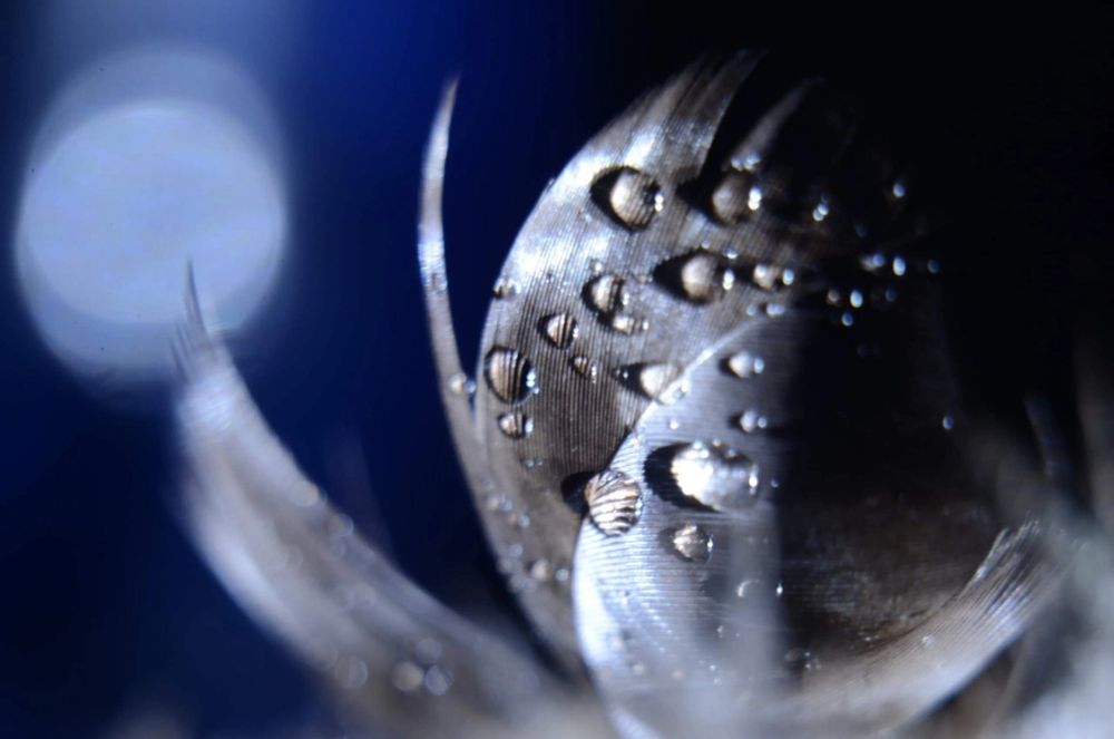 Photograph by Елена Дубовикова