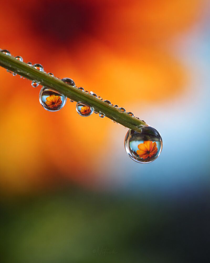Photograph by Tandon Nitish