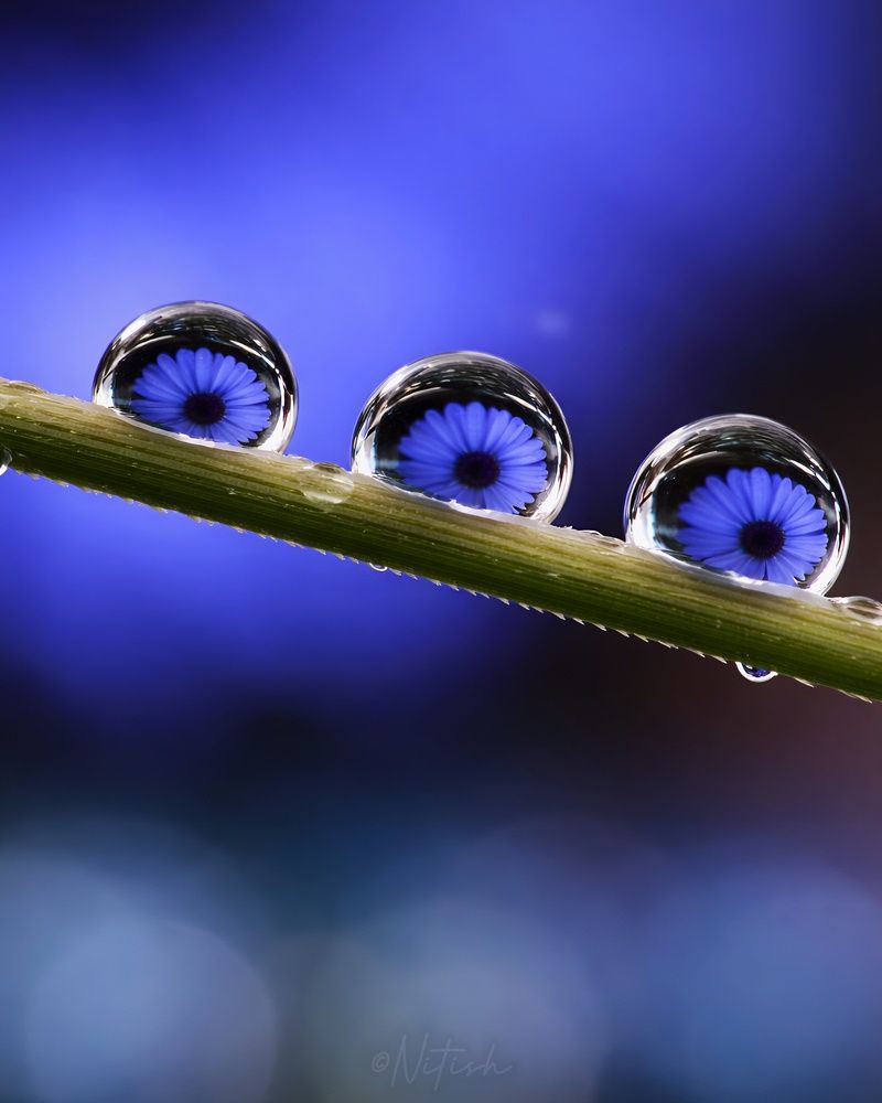 Photograph by Tandon Nitish