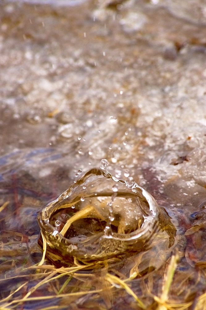 Photograph by Владислав Левашов
