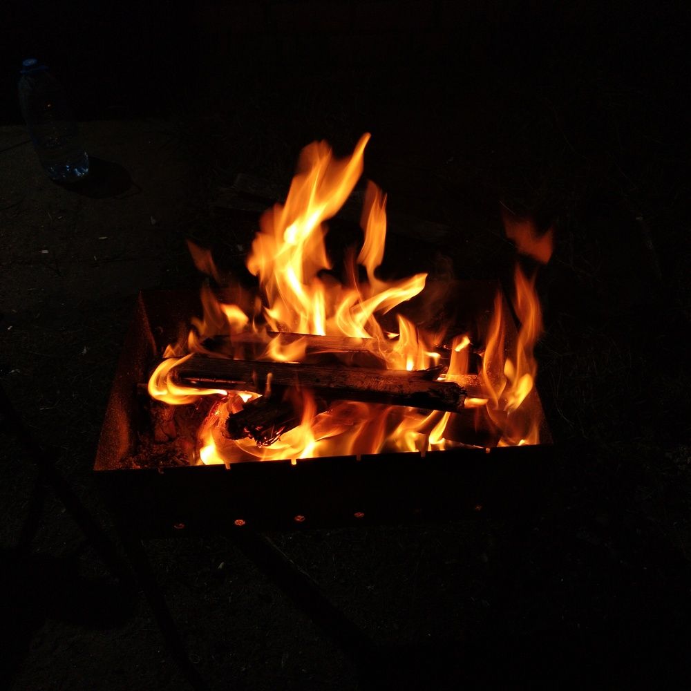 Photo #13582165