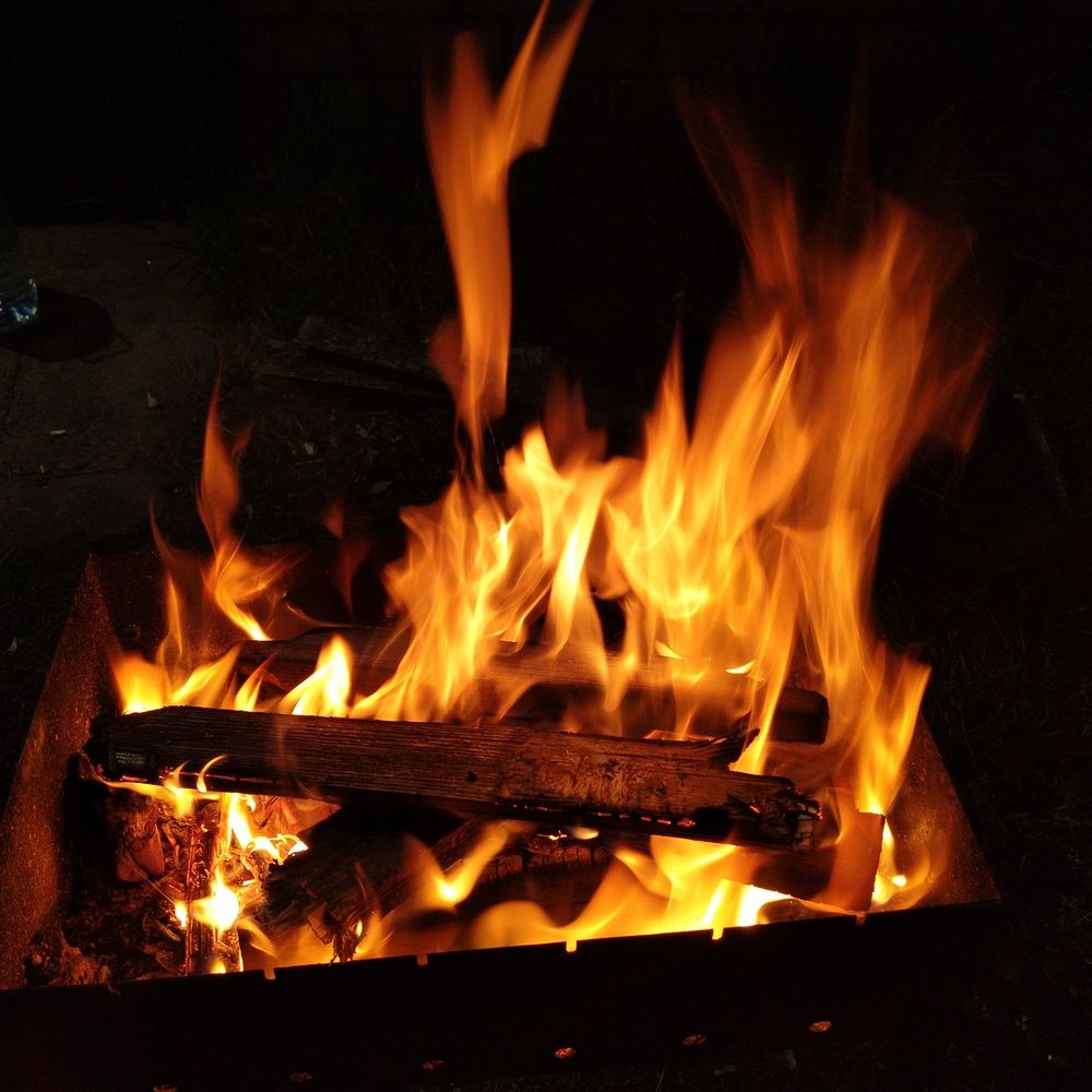 Photo #13582166