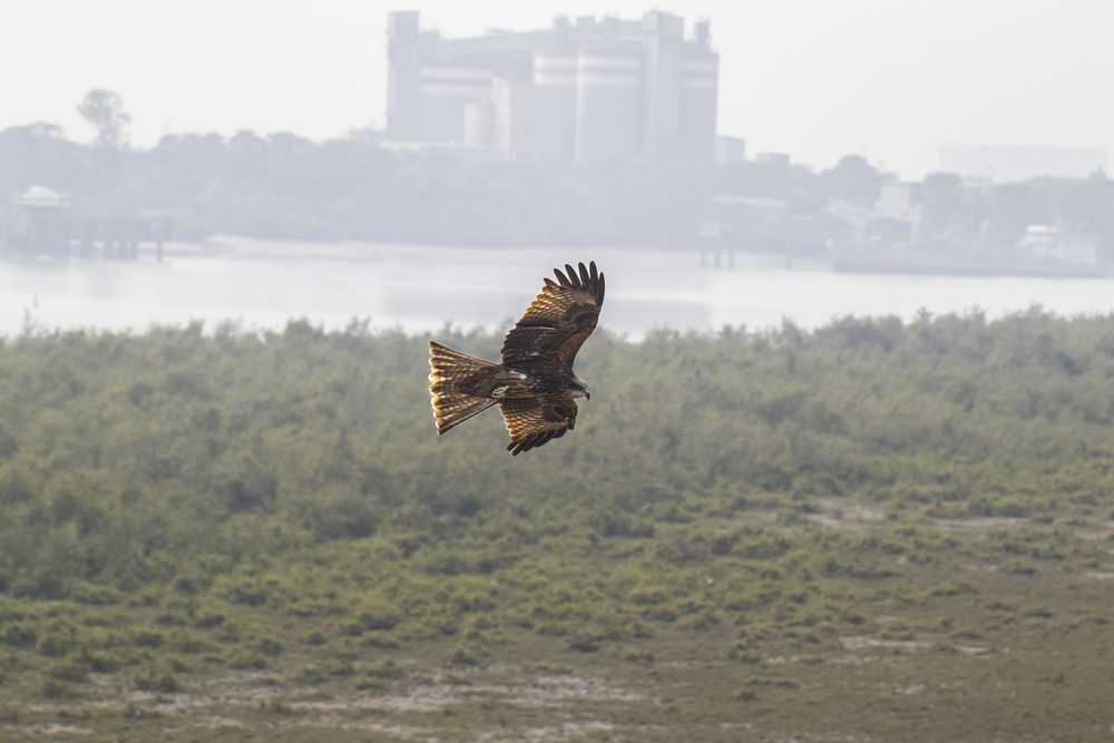 Photograph by Chauhan Dhruv