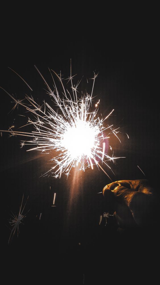Photograph by Evan John Lakra
