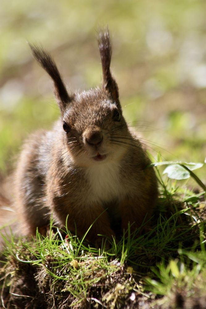 Photograph by Елена Смирнова