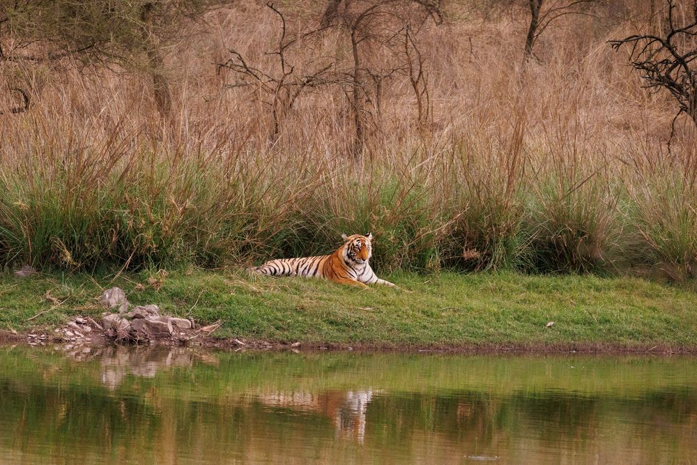 Photograph by Parthsarthi Varma
