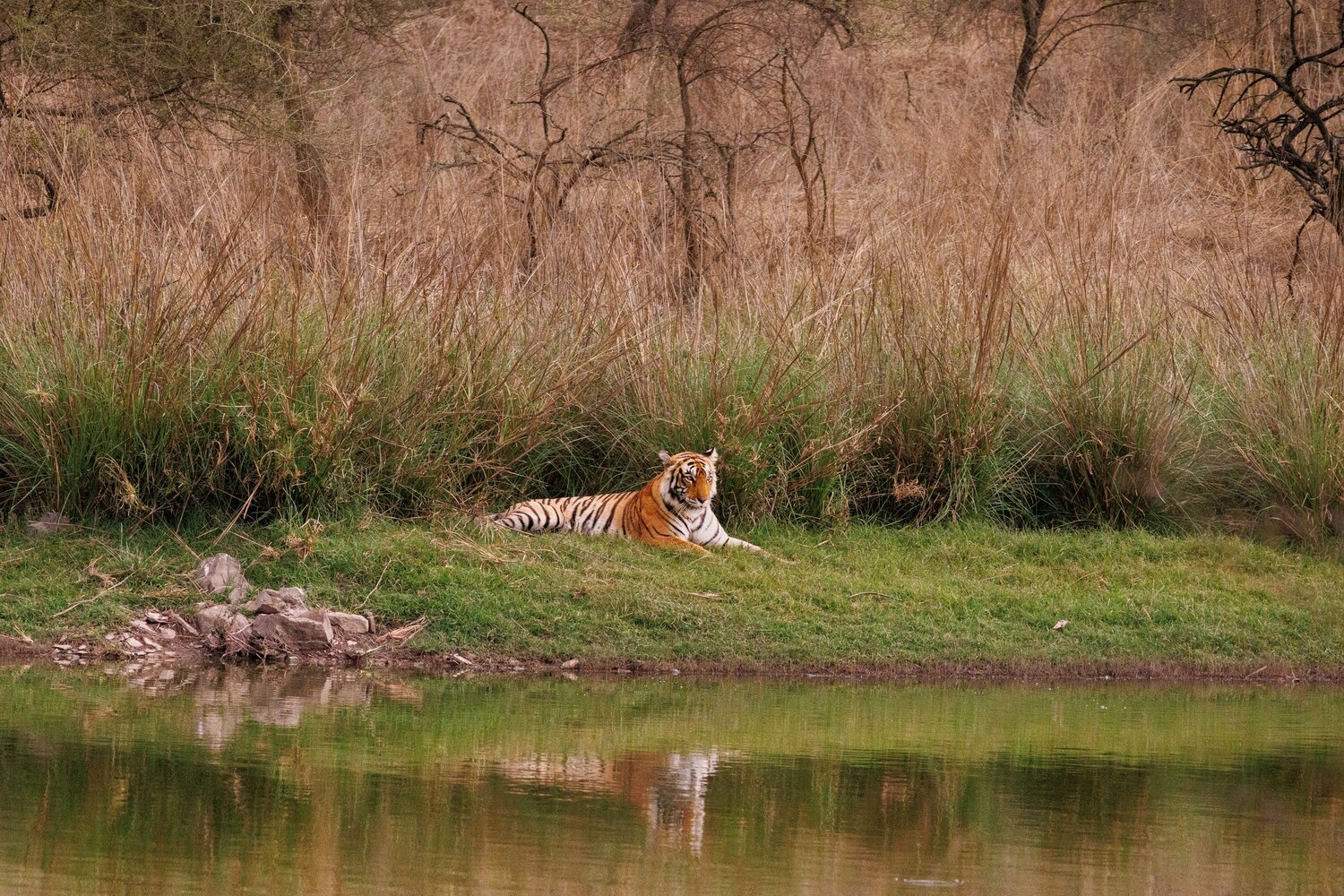 Photo #13582325