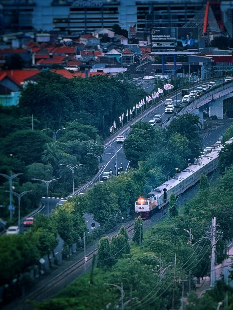 Crossing the City
