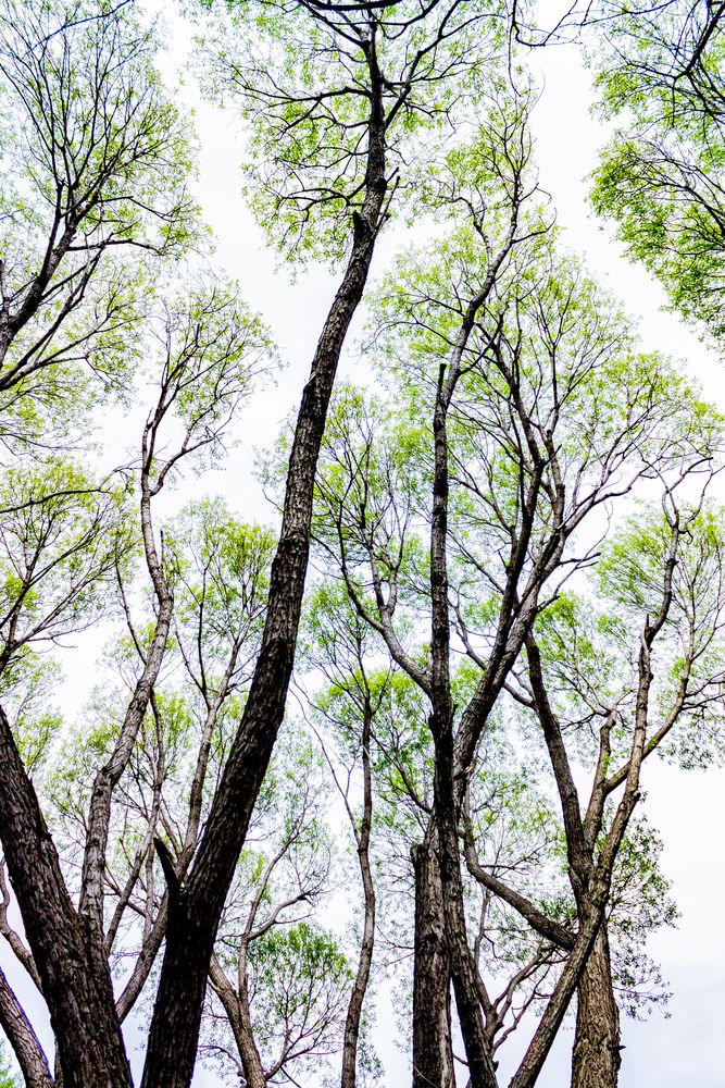 Photograph by Наталья Плотникова