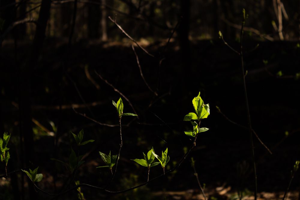 Photograph by Наталья Плотникова