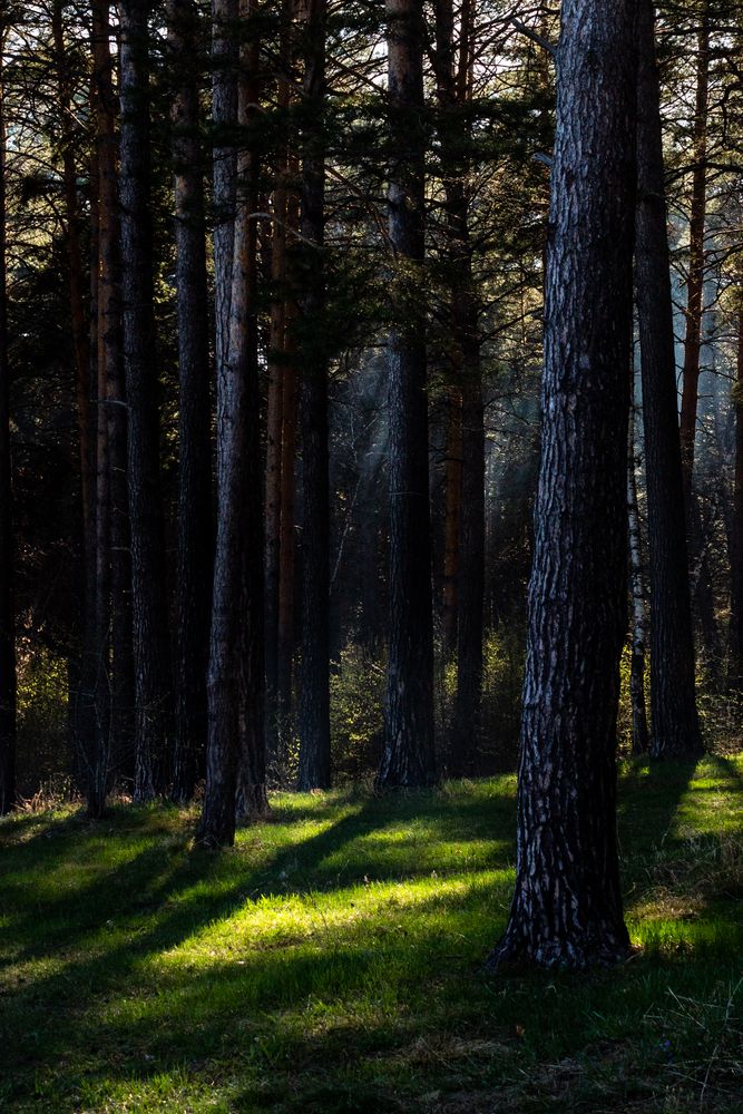 Photograph by Наталья Плотникова