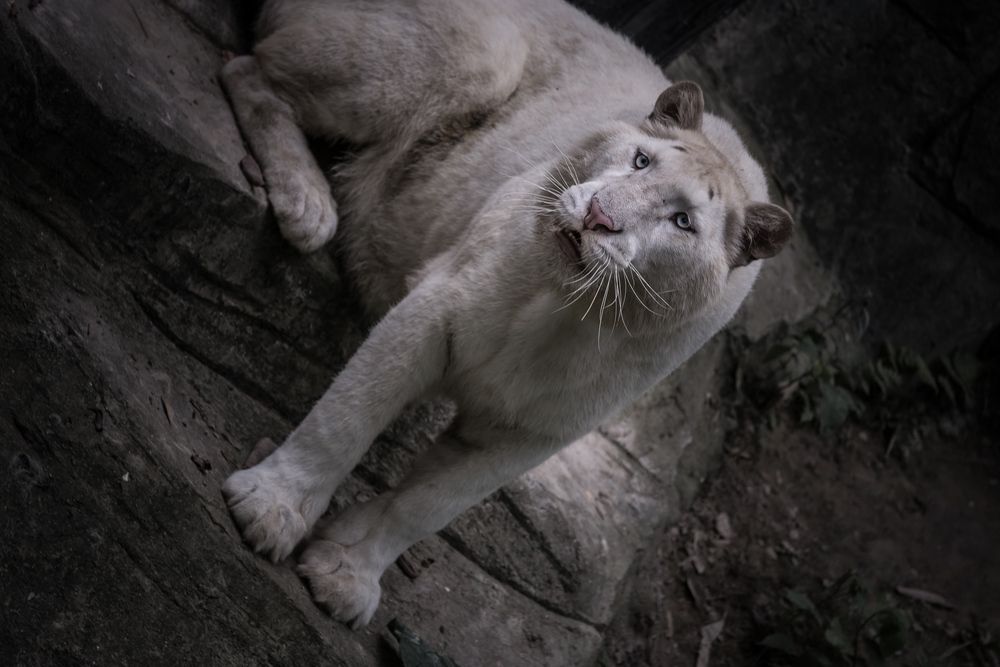 Photograph by Макс Полюхович