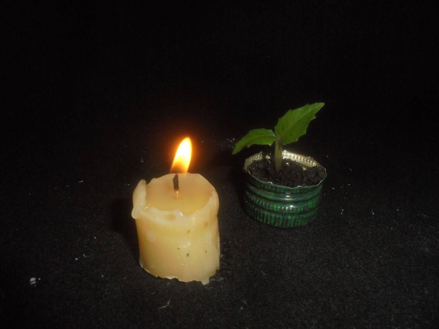 Photo #13582535