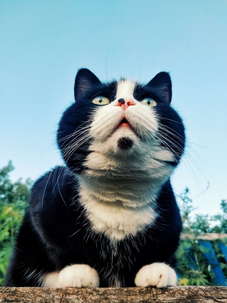 Photograph by Маннанова Ляйсан