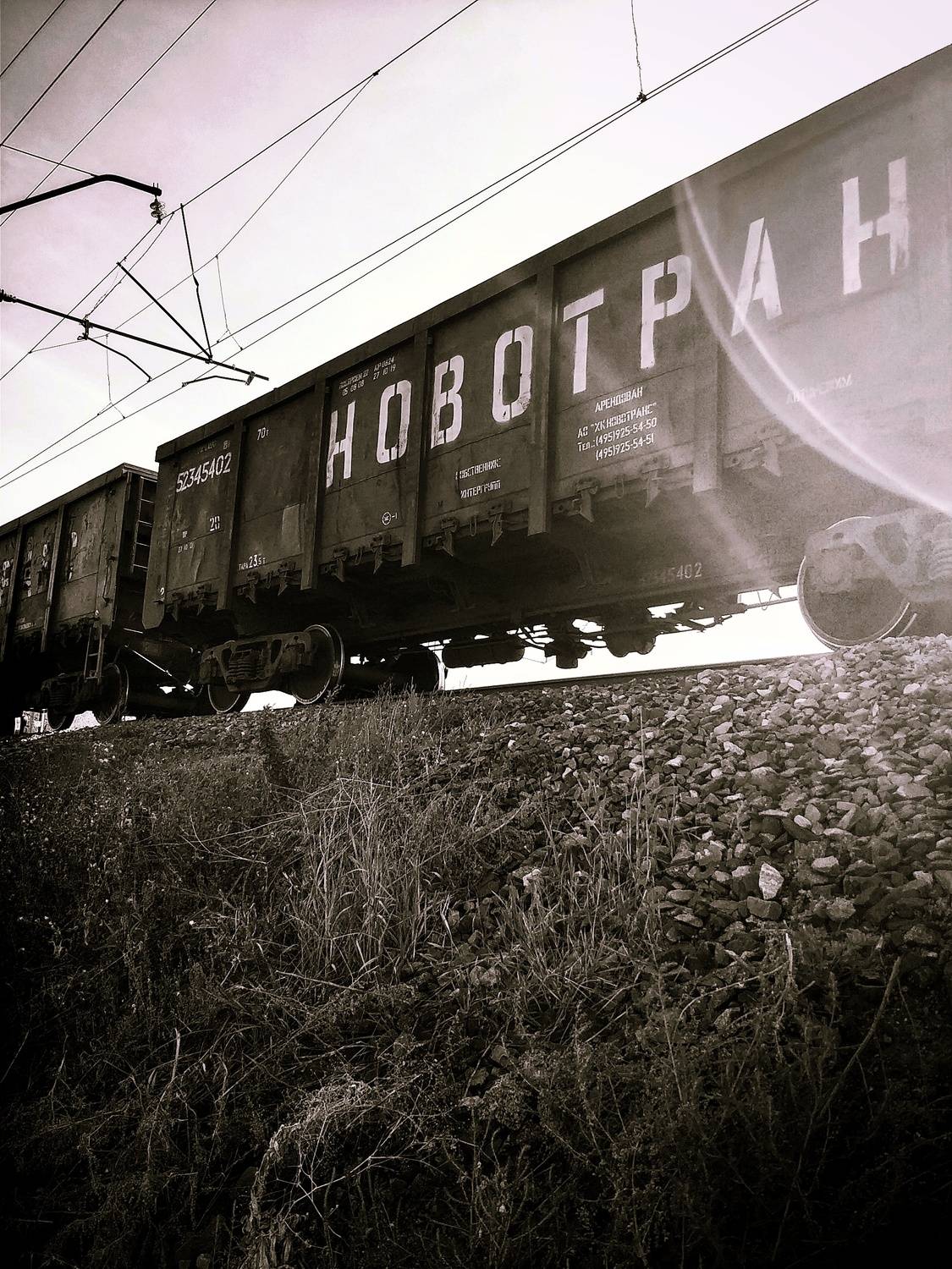 Photo #13582559