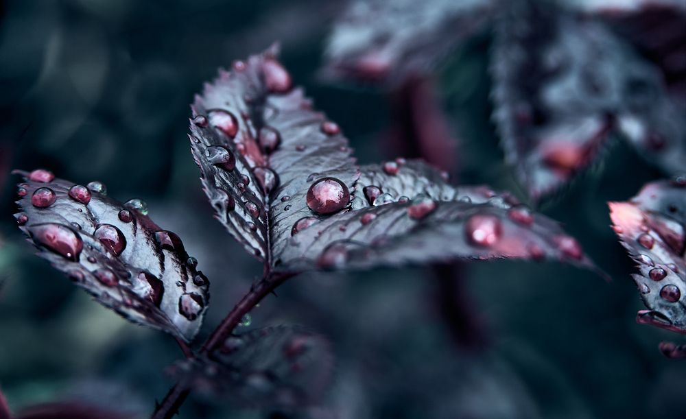 Photograph by Константин Громов