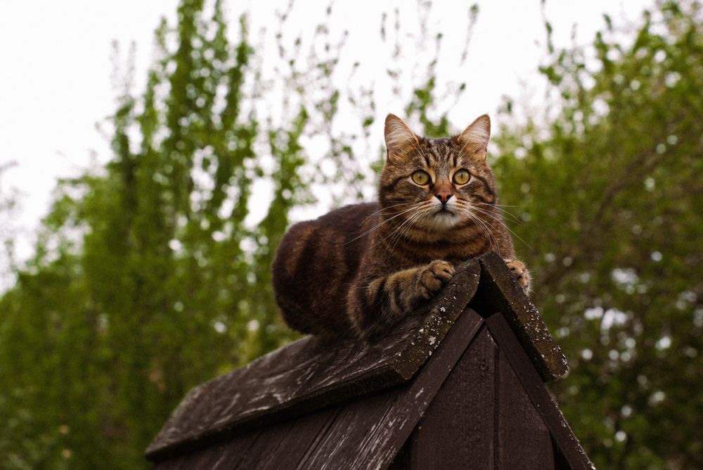 Photograph by Анна Чернышева