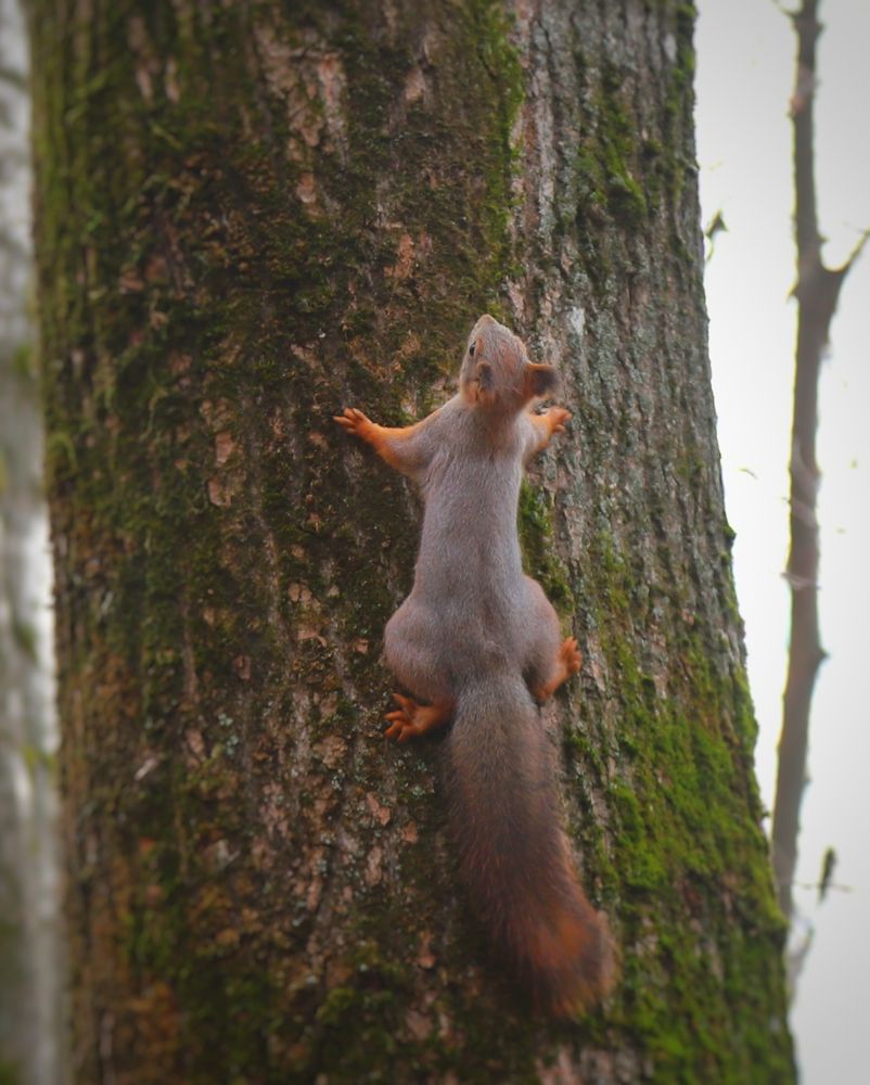 Photograph by Мария Андреева