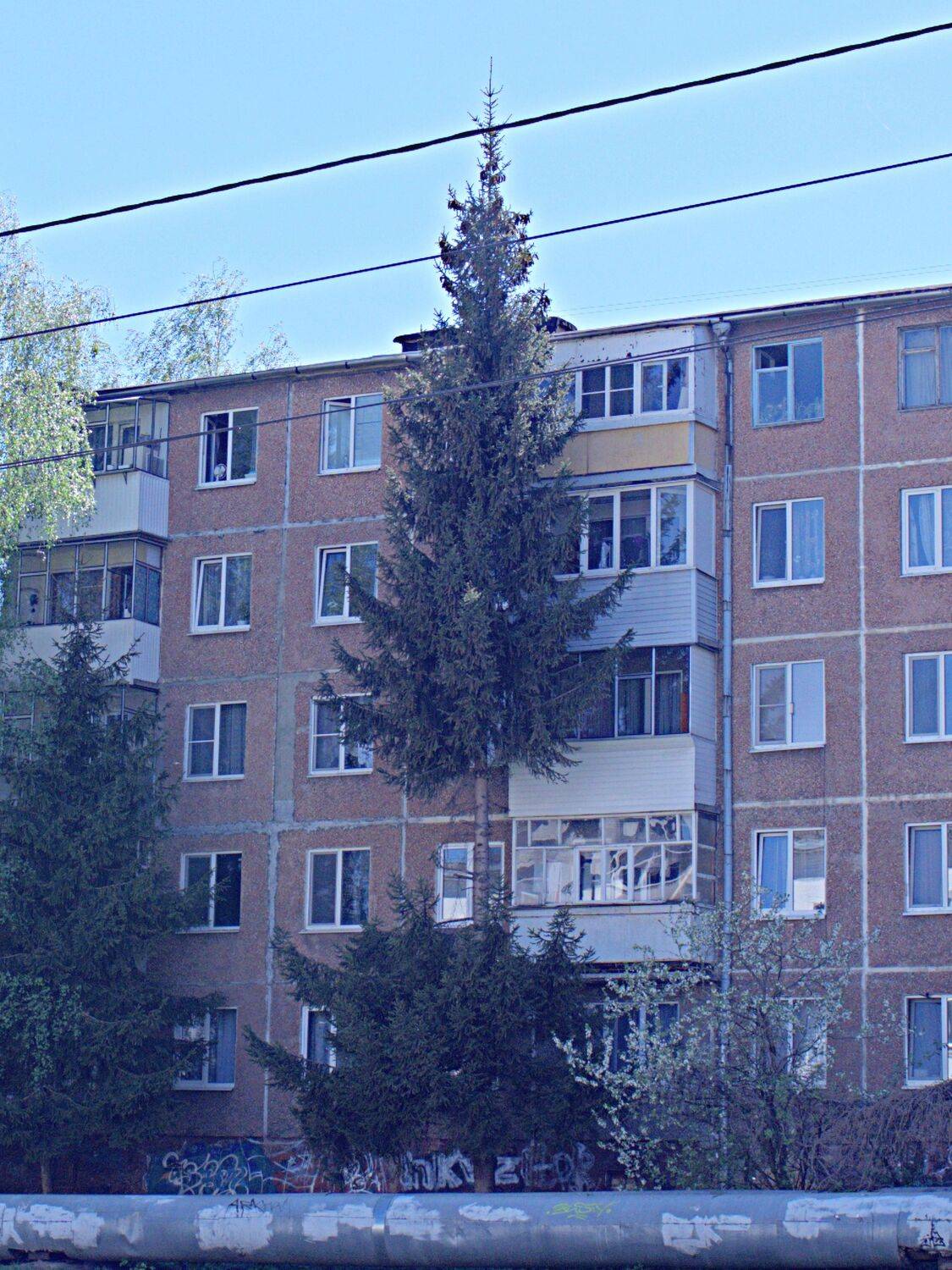 Я не виновата...