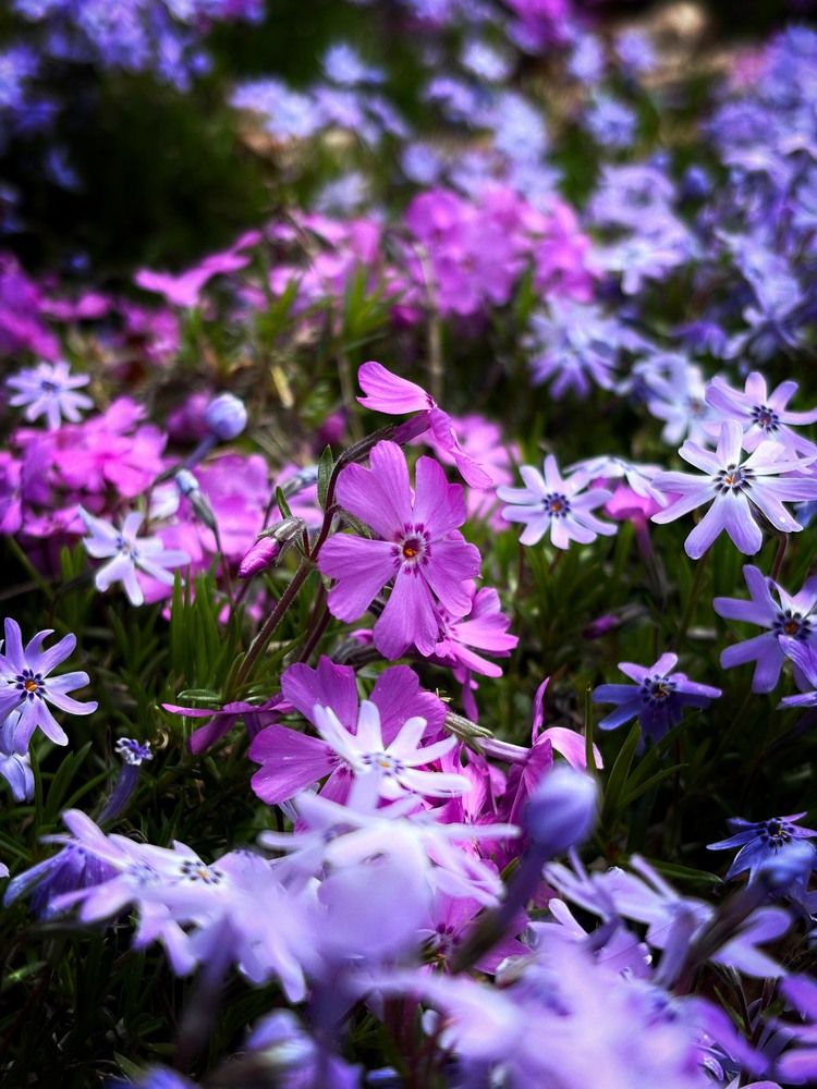 Photograph by Елена Громова