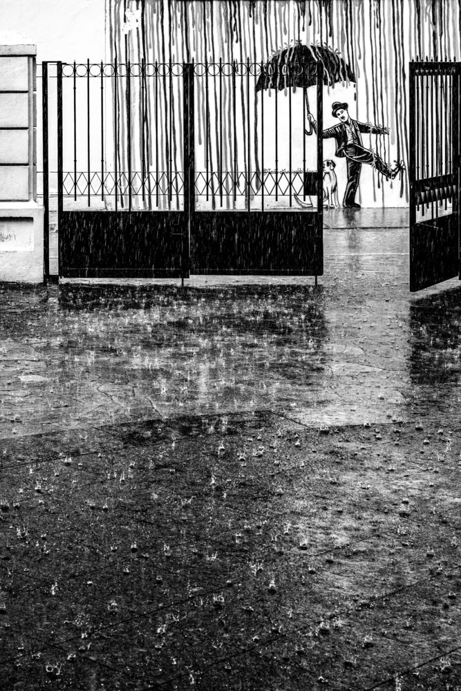 SINGING IN THE RAIN