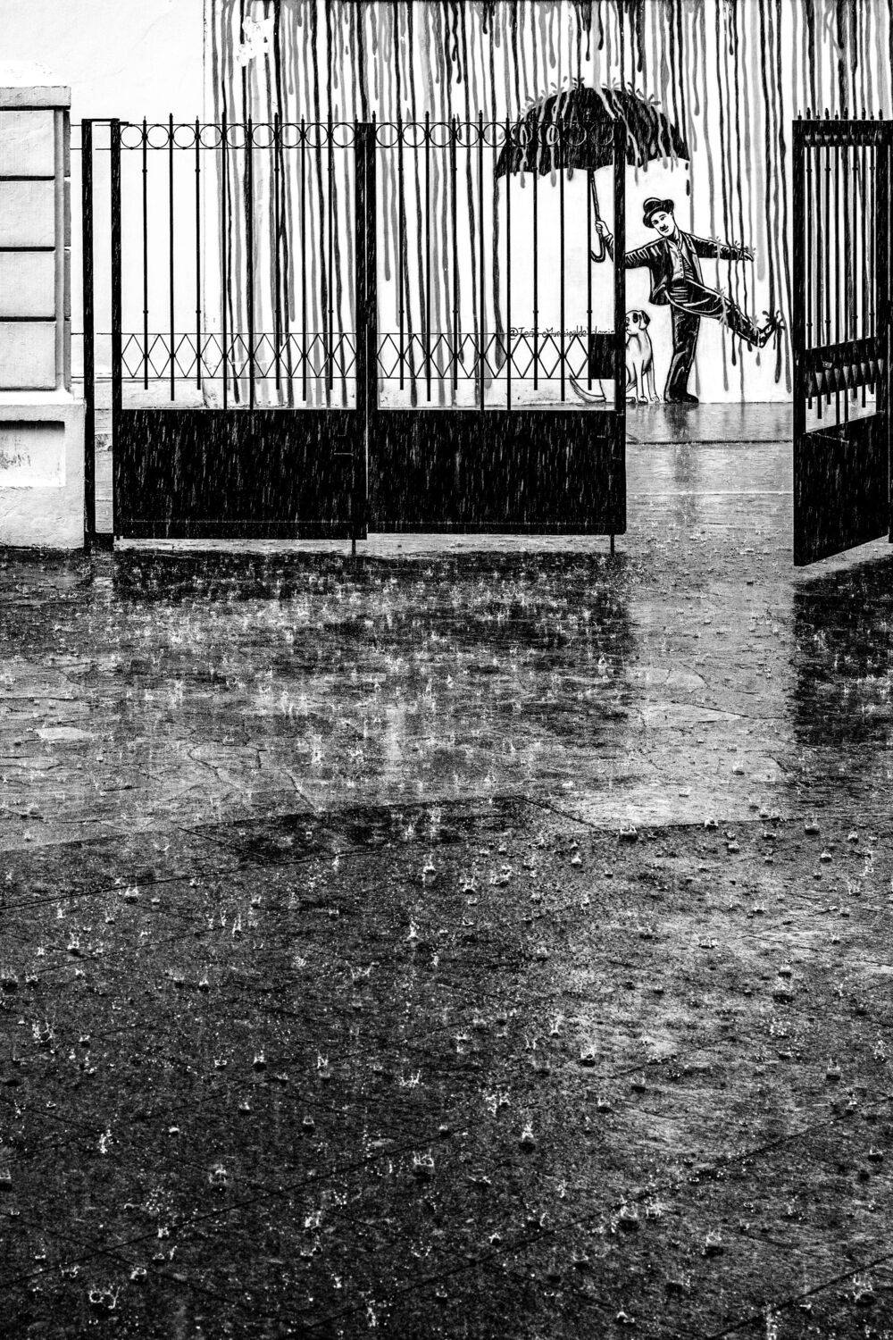 SINGING IN THE RAIN