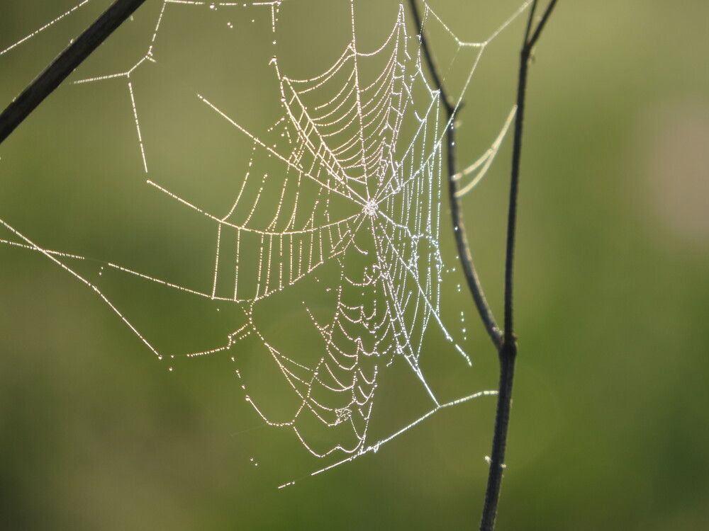 Photograph by Лариса Басова