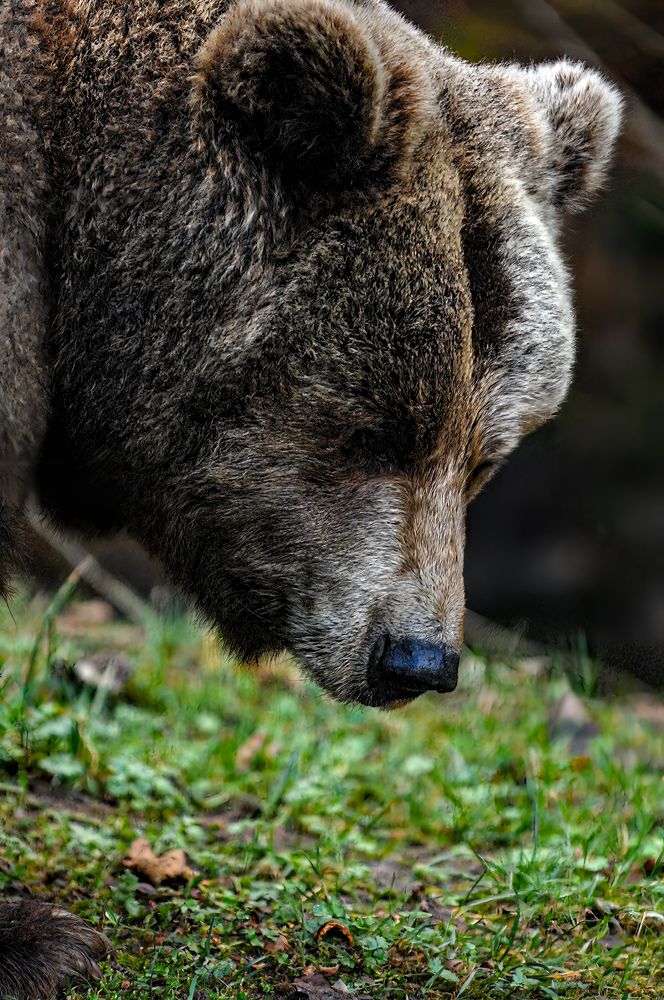 Photograph by Сергей Шишмарин