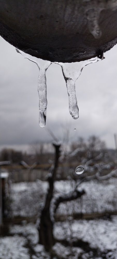 Photo #13583109
